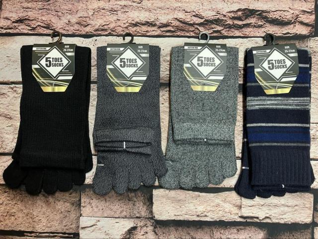 w摜Sgxn&{[_[IKȗSnIY ȍ T{wN[\bNX  jt@bV 