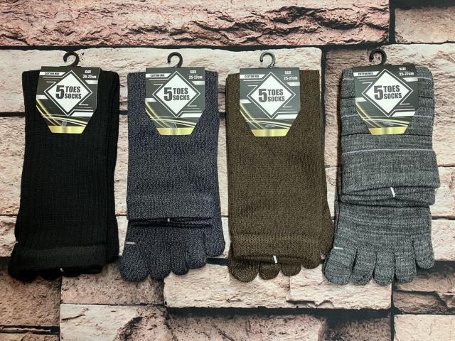 w摜Sgxn&{[_[IKȗSnIY ȍ T{wN[\bNX  jt@bV 