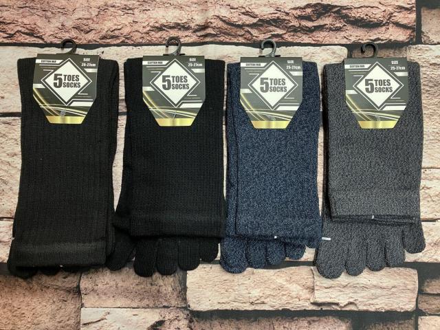 w摜Sgxn&{[_[IKȗSnIY ȍ T{wN[\bNX  jt@bV 