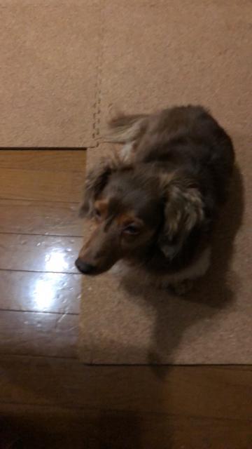 nhCh@wAS@݃{^@EBNȃtNE  t@bV 