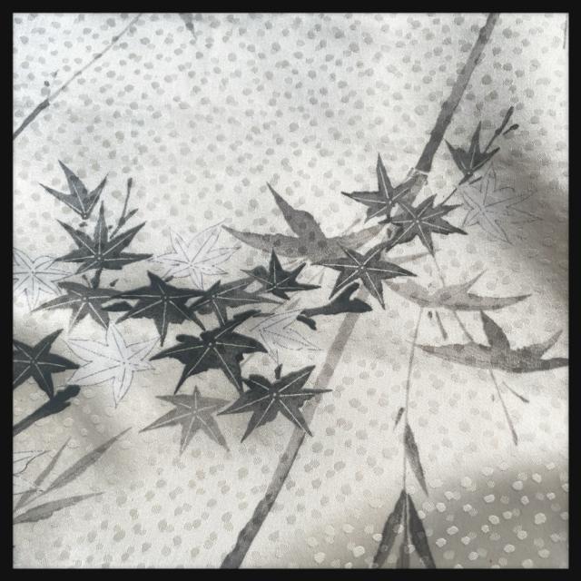 i̍gt  gt nG    ItzCg ۉF HF  t@bV 