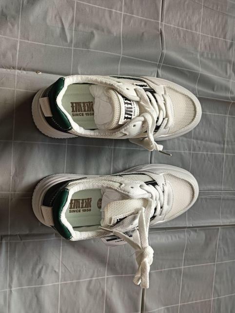 Vi 23cm fB[X Xj[J[ zCg V[Y C [Jbg  t@bV 