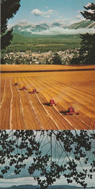 カナダ 郵便絵はがき8¢1970年代 3種【F-14】 < ホビー カナダ 郵便絵はがき8¢1970年代 3種【F-14】 < ホビーの