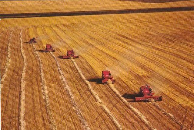 カナダ 郵便絵はがき8¢1970年代 3種【F-14】 < ホビー カナダ 郵便絵はがき8¢1970年代 3種【F-14】 < ホビーの