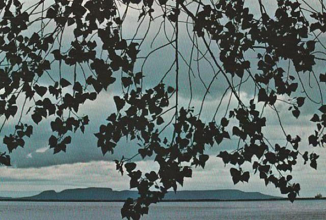 カナダ 郵便絵はがき8¢1970年代 3種【F-14】 < ホビー カナダ 郵便絵はがき8¢1970年代 3種【F-14】 < ホビーの