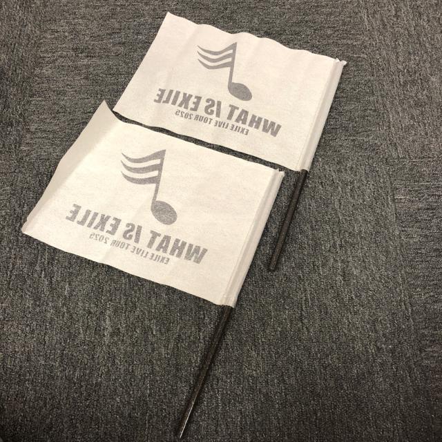 即決 EXILE LIVE TOUR 2025 WHAT IS EXILE < タレントグッズ 即決 EXILE LIVE TOUR 2025 WHAT IS EXILE < タレントグッズの