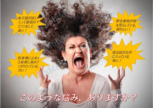 猫よけ 動物避け超音波動物撃退 光 動物糞尿対策 動物被害 < 家電/AV 猫よけ 動物避け超音波動物撃退 光 動物糞尿対策 動物被害 < 家電/AVの