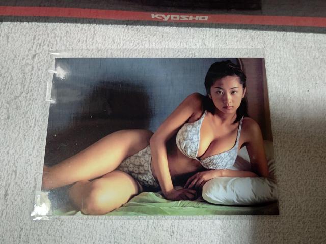 �v���}�C�h  ���ʐ^  �D��  �� �^�����g�O�b�Y�� 