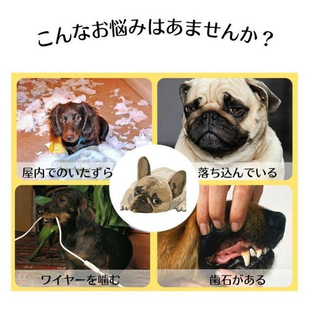 艿1,799~yVigpzJt@[vgC J   ybg/|/| 