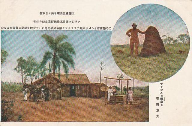 世界探検家 菅野力夫 ブラジル 当時のはがき 【1-9】 < ホビー  世界探検家 菅野力夫 ブラジル 当時のはがき 【1-9】  < ホビーの
