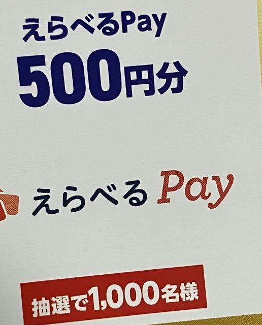 ׂpay500~1000l3 
