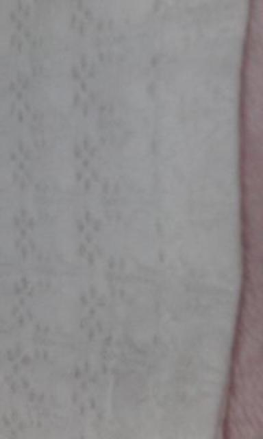 送料半額♪JaneMarpleキラ.ラメ花刺繍レ-ス(*゜ー゜)ゞ⌒☆♪♪♪ < ブランド 送料半額♪JaneMarpleキラ.ラメ花刺繍レ-ス(*゜ー゜)ゞ⌒☆♪♪♪ < ブランドの