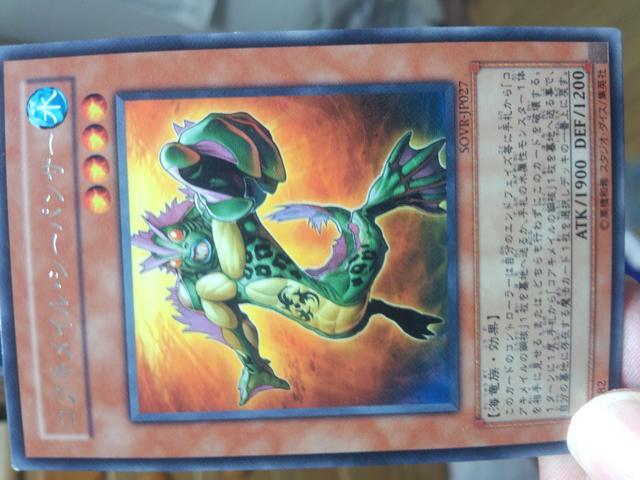 遊戯王【水・コアキメイル・シーパンサー】 < トレーディングカード  遊戯王【水・コアキメイル・シーパンサー】  < トレーディングカードの