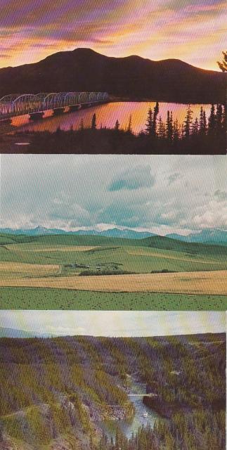 Ji_ X֊G͂81970N 3yF-15z   zr[ 