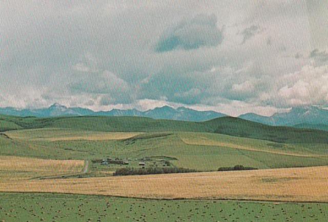 Ji_ X֊G͂81970N 3yF-15z  zr[ 