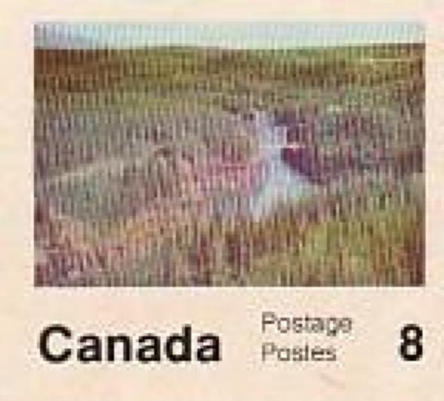 Ji_ X֊G͂81970N 3yF-15z  zr[ 