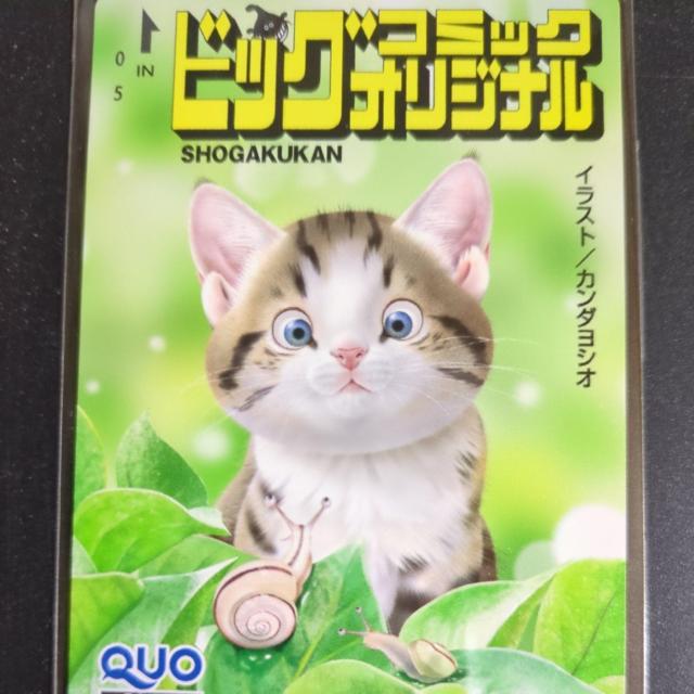 �r�b�O�R�~�b�N�I���W�i���L���v�����I�N�I�J�[�h �� �`�P�b�g/������ 