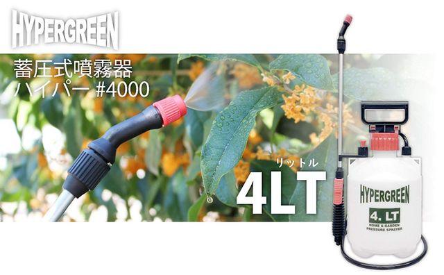 }n`Y ~ 4L nCp[ 1i1 #4000  ybg/|/| 