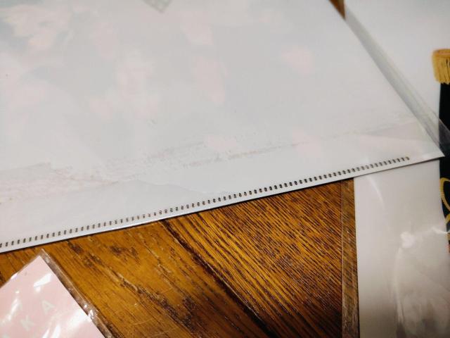 SEVENTEEN SVT ラゲッジタグ クリアファイル ぬいぐるみ セット < タレントグッズ  SEVENTEEN SVT ラゲッジタグ クリアファイル ぬいぐるみ セット < タレントグッズの