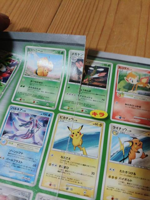 ポケモン ガード ゲーム カタログ < トレーディングカード  ポケモン ガード ゲーム カタログ < トレーディングカードの