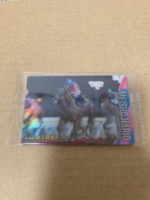 サラブレッド ホースコレクション ツインウエハース 第2R メイショウハリオ ノーマルカード 浜中俊 < トレーディングカード サラブレッド ホースコレクション ツインウエハース 第2R メイショウハリオ ノーマルカード 浜中俊 < トレーディングカードの