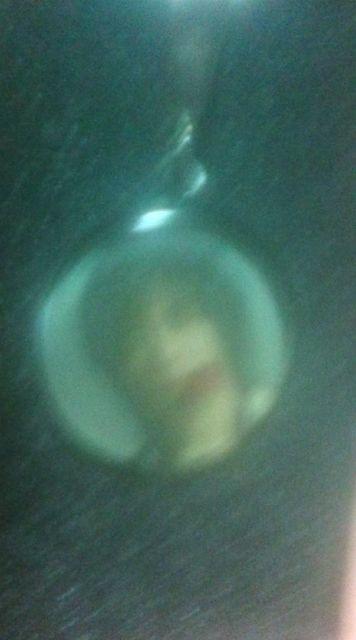 �p�N�E�����nPAKUYONGHA CONCERT2006�`WIllABETHERE�`�L�[�z���_�[ �� �^�����g�O�b�Y�� 