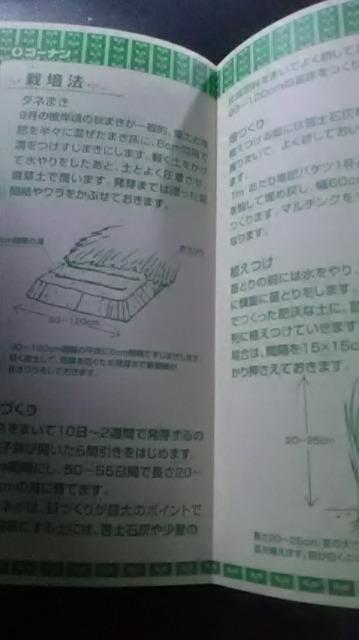 家庭菜園、たまねぎ栽培方法冊子  玉葱 < ペット/手芸/園芸  家庭菜園、たまねぎ栽培方法冊子  玉葱 < ペット/手芸/園芸の