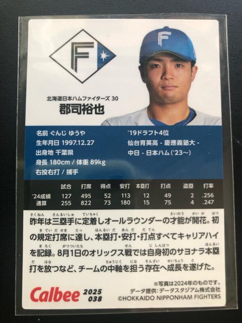 QOQTJr[싅Pe/mn-ORWEkC{nt@C^[YESiT  g[fBOJ[h 