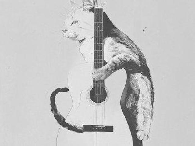 nCNIeB[ TVc L TVc L TVc cat T-shirt O  t@bV 