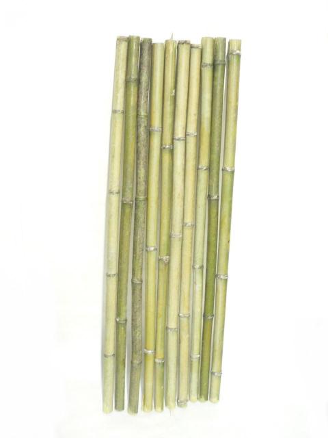 天然竹 青竹 長110p 10本 DIY 素材 < ペット/手芸/園芸  天然竹 青竹 長110p 10本 DIY 素材  < ペット/手芸/園芸の
