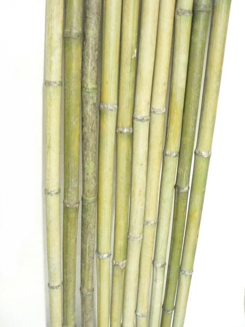 天然竹 青竹 長110p 10本 DIY 素材 < ペット/手芸/園芸  天然竹 青竹 長110p 10本 DIY 素材 < ペット/手芸/園芸の