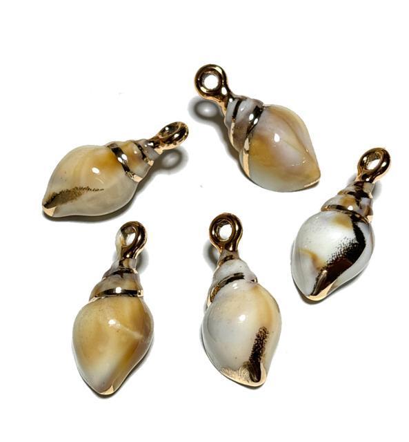 034 p[c@L̃`[@5@{ł͂܂B   ybg/|/| 