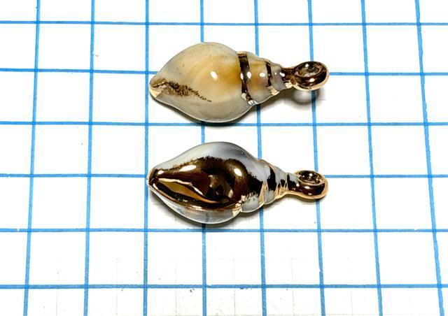 034 p[c@L̃`[@5@{ł͂܂B  ybg/|/| 