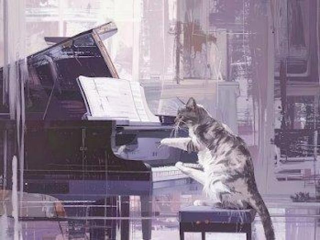 ハイクオリティー Tシャツ 猫 Tシャツ 猫柄 Tシャツ ユニセックス Tシャツ 前 < 女性ファッション ハイクオリティー Tシャツ 猫 Tシャツ 猫柄 Tシャツ ユニセックス Tシャツ 前 < 女性ファッションの