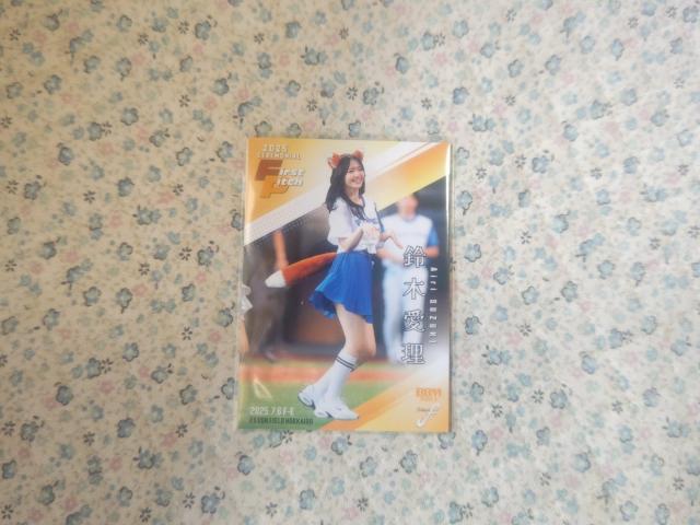 gJ BBM '25 ؈ V[Nbg   g[fBOJ[h 