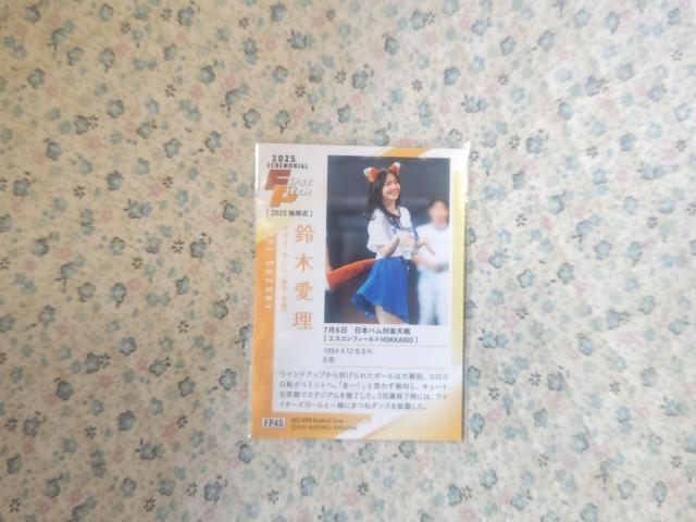 gJ BBM '25 ؈ V[Nbg  g[fBOJ[h 