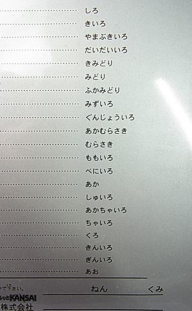 500~X^XbKANSAI JtgCEoX3-A dԂƃoX̐FM21FZbg@M@St