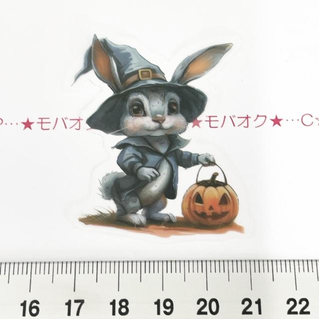 31*R[WV[4 