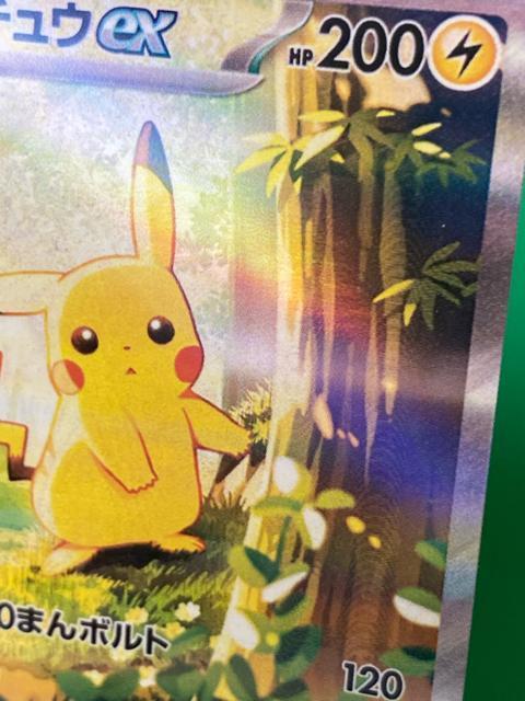 �s�J�`���Eex SAR �|�P�J �� �A�[�g�u�b�N ���T ���� �|�P�����J�[�h�|�P�b�g �� �g���[�f�B���O�J�[�h�� 