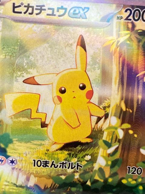 �s�J�`���Eex SAR �|�P�J �� �A�[�g�u�b�N ���T ���� �|�P�����J�[�h�|�P�b�g �� �g���[�f�B���O�J�[�h�� 