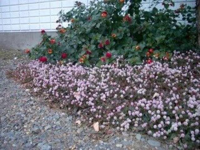 stqc\o (P) q y 100 z  ybg/|/| 