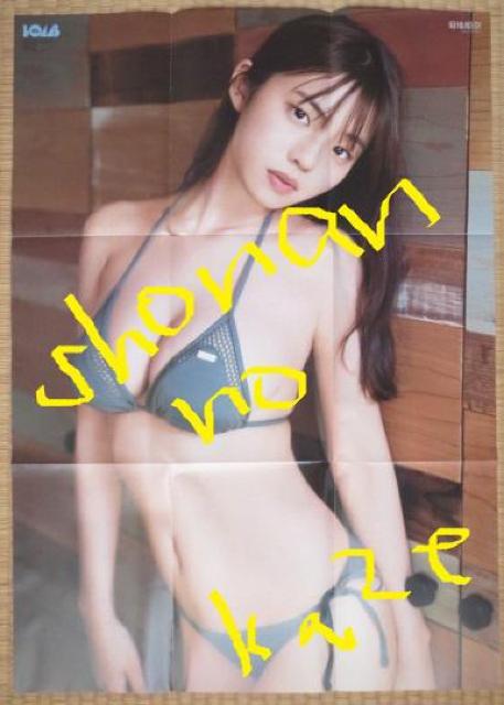 爆乳アイドル「菊地姫奈」の最新ビキニ水着両面ポスター < タレントグッズ  爆乳アイドル「菊地姫奈」の最新ビキニ水着両面ポスター < タレントグッズの