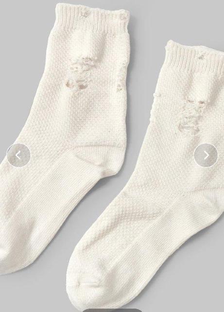 gpJVi _[W\bNX AC{[zCg fB[XC t[TCY(22cm`25cm) ^Xi  t@bV 