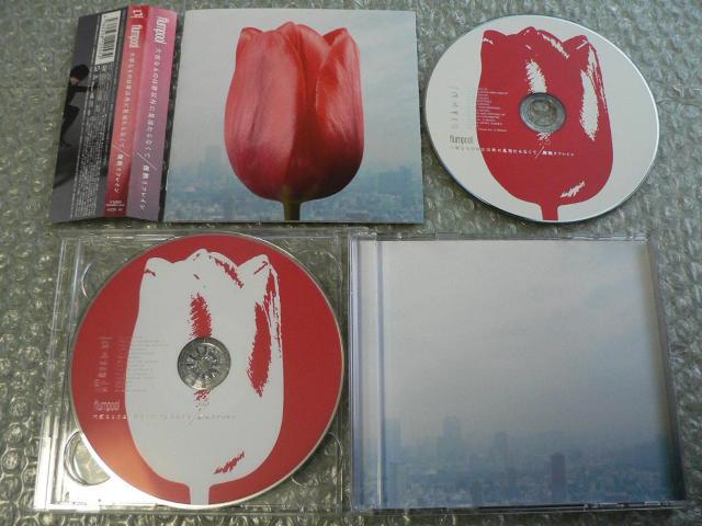 flumpoolw؂Ȃ̂͌NȊOɌȂāxՁyCD+DVDzɂoi  ^gObY 