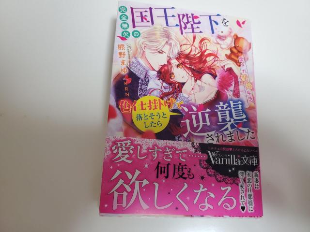 ���@�j�����Ɂu���S�����̍����É���F�d�|���ŗ��Ƃ����Ƃ�����t�P����܂����`������V�������`�v�F��܂䒘 