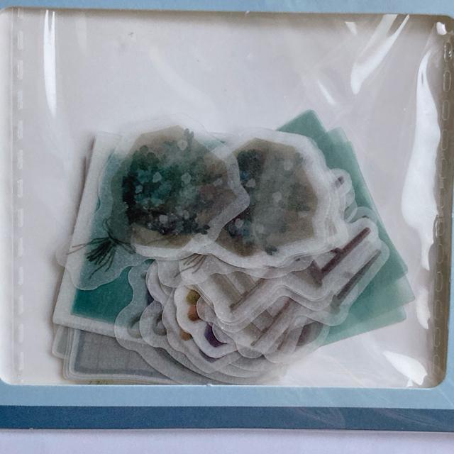 t[NV[  R[W f fR[V V[ }XLOe[v N2m  CeA/Ct 