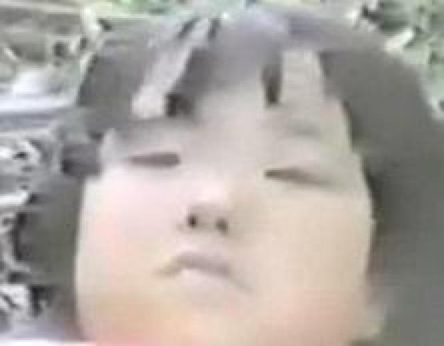 u}Chʐ^ꖇ(gf) D2-450 