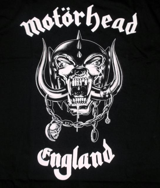 ���[�^�[�w�b�h �@MOTOR HEAD�@�����@T�V���c�@M�@L�@2L�@3�T�C�Y����I�� �� �j���t�@�b�V������ 