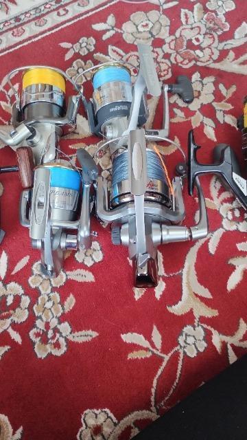 ���_�C��/����/���[��/6��/ �� �z�r�[�� 