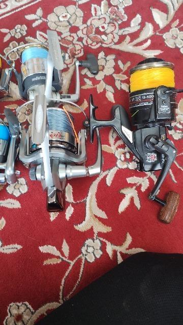 ���_�C��/����/���[��/6��/ �� �z�r�[�� 